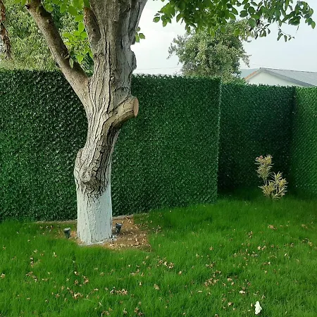 Lejlighedshotel Kaya Koey Fethiye